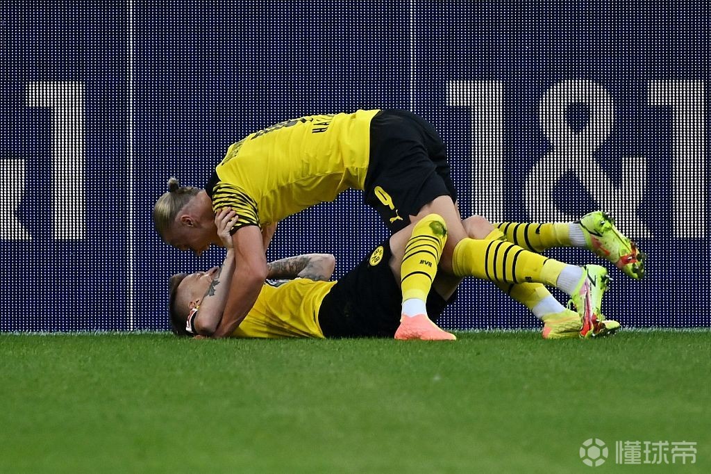 德甲多特蒙德最新消息